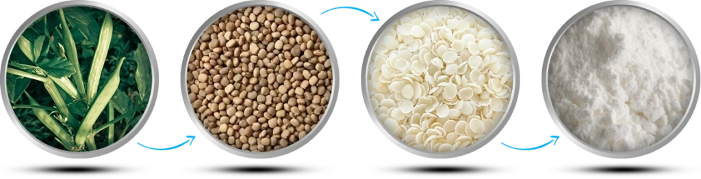 Top 10 Guar Gum exporter from india guar gum